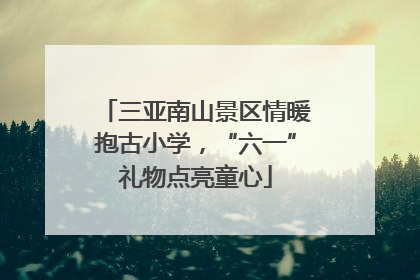 三亚南山景区情暖抱古小学，“六一”礼物点亮童心