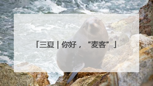 三夏｜你好，“麦客”