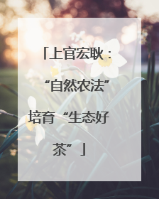 上官宏耿：“自然农法”培育“生态好茶”