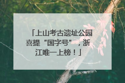 上山考古遗址公园喜提“国字号”，浙江唯一上榜！