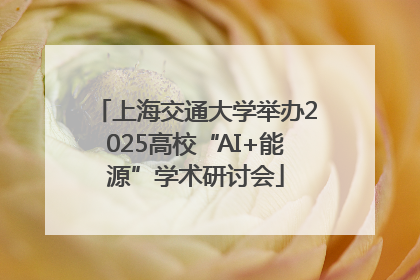 上海交通大学举办2025高校“AI+能源”学术研讨会