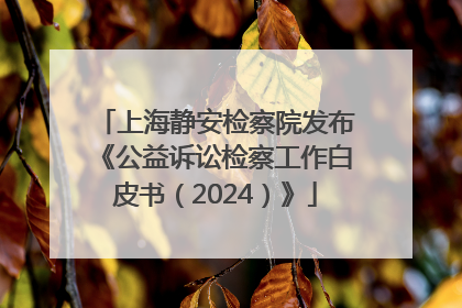 上海静安检察院发布《公益诉讼检察工作白皮书（2024）》