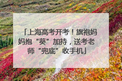 上海高考开考！旗袍妈妈抱“葵”加持，送考老师“兜底”收手机