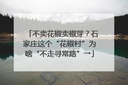 不卖花椒卖椒芽？石家庄这个“花椒村”为啥“不走寻常路”→