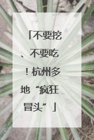 不要挖、不要吃！杭州多地“疯狂冒头”