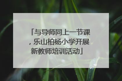 与导师同上一节课，乐山柏杨小学开展新教师培训活动