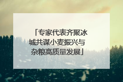 专家代表齐聚冰城共谋小麦振兴与杂粮高质量发展