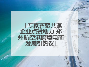 专家齐聚共谋 企业点赞助力 郑州航空港跨境电商发展引热议