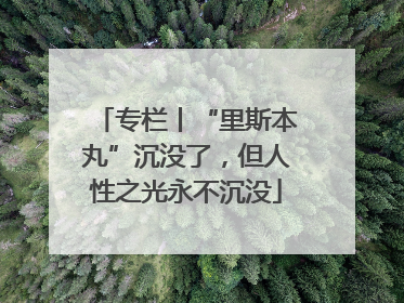 专栏丨“里斯本丸”沉没了，但人性之光永不沉没
