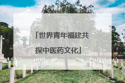 世界青年福建共探中医药文化