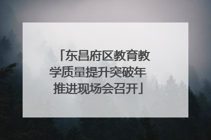 东昌府区教育教学质量提升突破年推进现场会召开