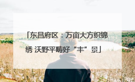 东昌府区：万亩大方织锦绣 沃野平畴好“丰”景