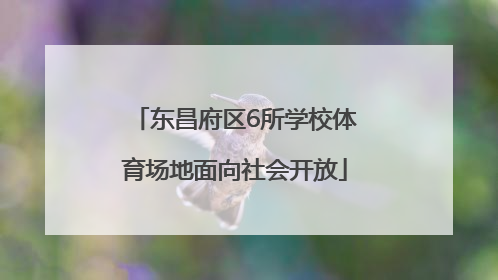 东昌府区6所学校体育场地面向社会开放