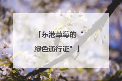 东港草莓的“绿色通行证”