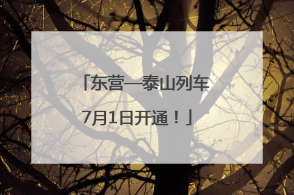 东营—泰山列车7月1日开通！