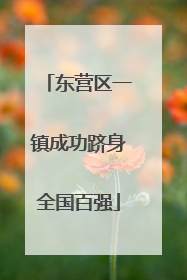 东营区一镇成功跻身全国百强