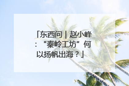 东西问｜赵小峰：“秦岭工坊”何以扬帆出海？