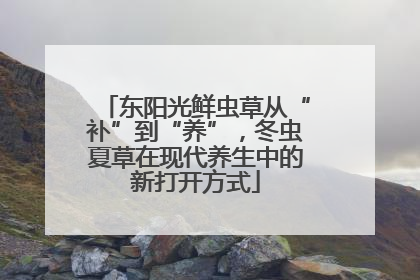 东阳光鲜虫草从“补”到“养”，冬虫夏草在现代养生中的新打开方式