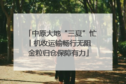 中原大地“三夏”忙丨机收运输畅行无阻 金粒归仓保障有力