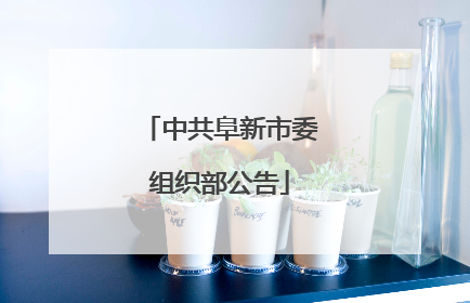 中共阜新市委组织部公告