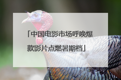 中国电影市场呼唤爆款影片点燃暑期档