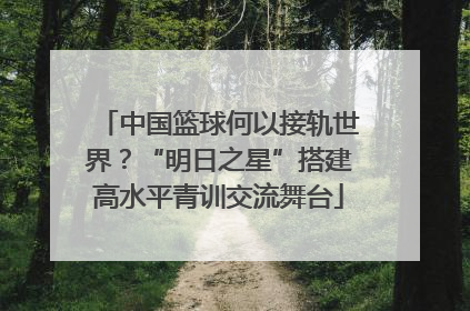 中国篮球何以接轨世界？“明日之星”搭建高水平青训交流舞台