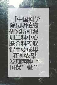 中国科学院昆明植物研究所和深圳兰科中心联合科考取得重要成果 在神农架发现两种“国保”级兰花