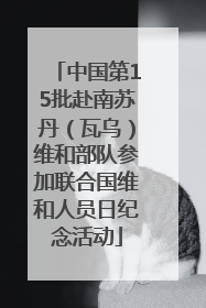 中国第15批赴南苏丹（瓦乌）维和部队参加联合国维和人员日纪念活动