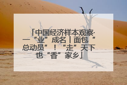 中国经济样本观察·一“业”成名丨面包“总动员”！“走”天下也“香”家乡