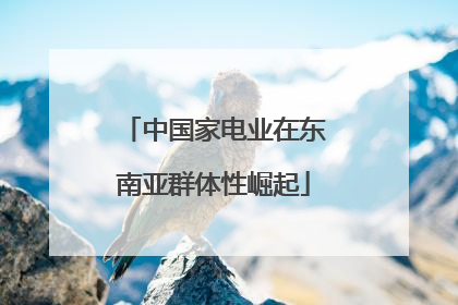 中国家电业在东南亚群体性崛起