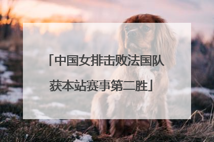 中国女排击败法国队 获本站赛事第二胜