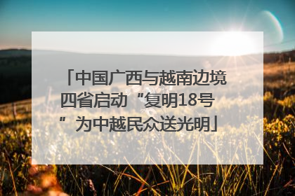 中国广西与越南边境四省启动“复明18号”为中越民众送光明
