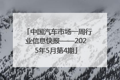 中国汽车市场一周行业信息快报——2025年5月第4期