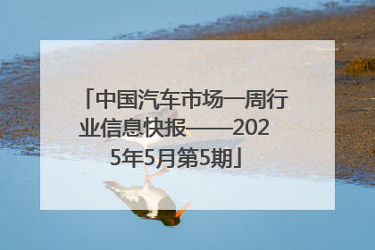 中国汽车市场一周行业信息快报——2025年5月第5期