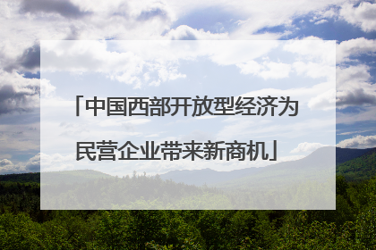 中国西部开放型经济为民营企业带来新商机