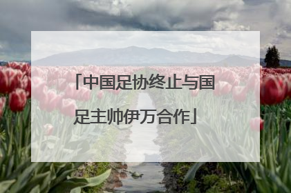 中国足协终止与国足主帅伊万合作