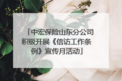 中宏保险山东分公司积极开展《信访工作条例》宣传月活动