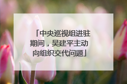 中央巡视组进驻期间，吴建平主动向组织交代问题