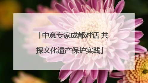 中意专家成都对话 共探文化遗产保护实践