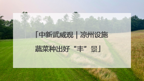 中新武威观｜凉州设施蔬菜种出好“丰”景