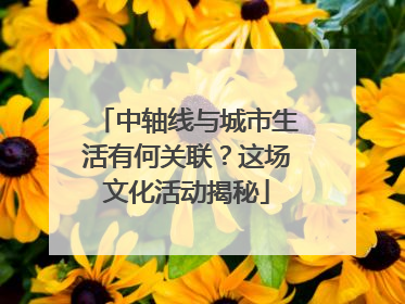 中轴线与城市生活有何关联？这场文化活动揭秘