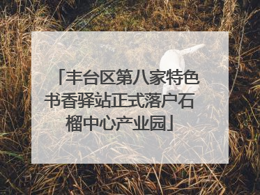 丰台区第八家特色书香驿站正式落户石榴中心产业园