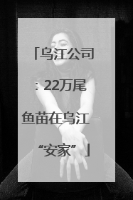 乌江公司：22万尾鱼苗在乌江“安家”