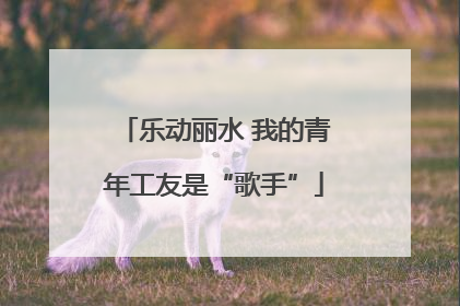 乐动丽水 我的青年工友是“歌手”