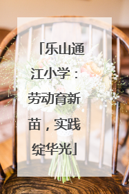 乐山通江小学：劳动育新苗，实践绽华光