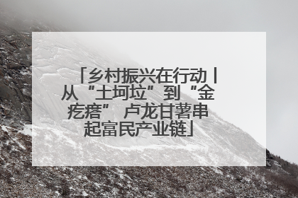 乡村振兴在行动丨从“土坷垃”到“金疙瘩” 卢龙甘薯串起富民产业链