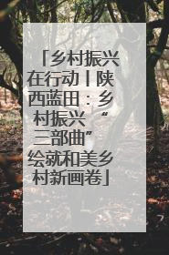 乡村振兴在行动丨陕西蓝田：乡村振兴 “三部曲” 绘就和美乡村新画卷