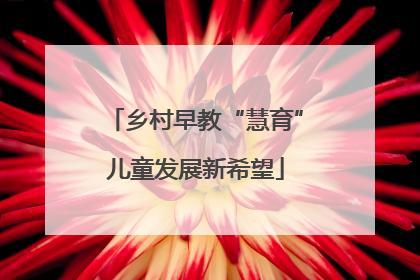 乡村早教“慧育”儿童发展新希望
