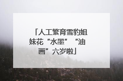 人工繁育雪豹姐妹花“水墨”“油画”六岁啦