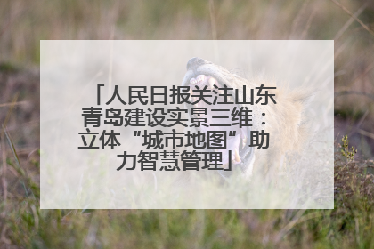 人民日报关注山东青岛建设实景三维：立体“城市地图”助力智慧管理